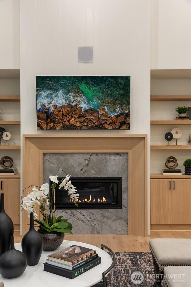 2505 166th Ave SE, Bellevue, WA 98008 - detailed view of a premium fireplace and built in shelves