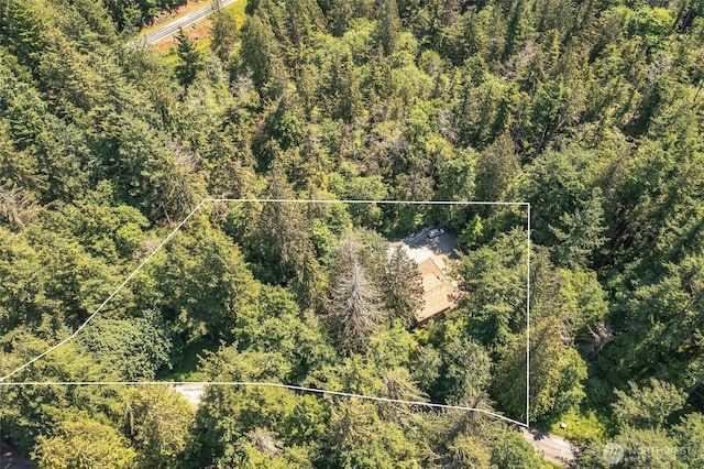 101 Tomihi Dr, Orcas Island, WA 98245 - aerial overview of property's location featuring property parcel outlined