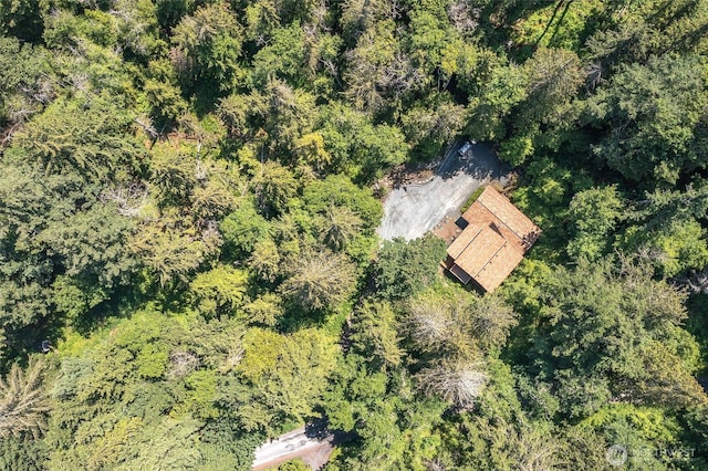 101 Tomihi Dr, Orcas Island, WA 98245 - view of subject property