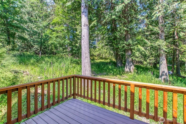 101 Tomihi Dr, Orcas Island, WA 98245 - view of wooden deck