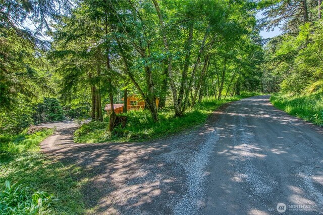 101 Tomihi Dr, Orcas Island, WA 98245 - view of road with a forest view