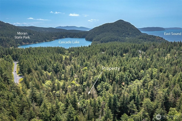 101 Tomihi Dr, Orcas Island, WA 98245 - drone / aerial view of a heavily wooded area and a water and mountain view