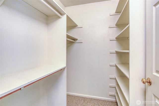 101 Tomihi Dr, Orcas Island, WA 98245 - walk in closet featuring light colored carpet