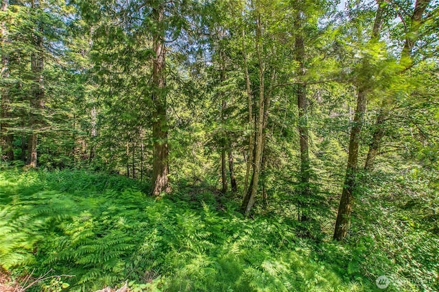 101 Tomihi Dr, Orcas Island, WA 98245 - view of woods