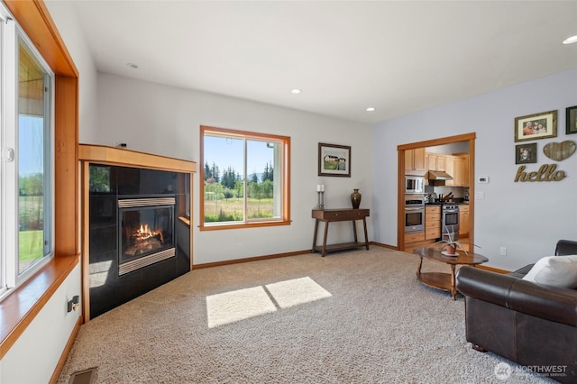 1717 E Smith Rd, Bellingham, WA 98226 - photo 10