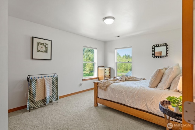 1717 E Smith Rd, Bellingham, WA 98226 - photo 30