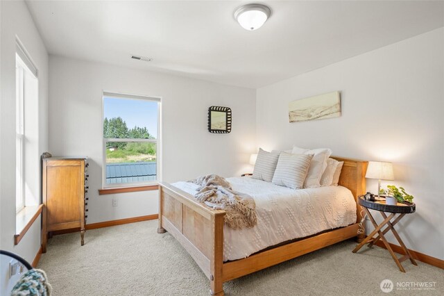 1717 E Smith Rd, Bellingham, WA 98226 - photo 31