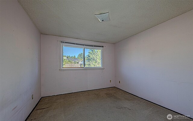 24427 14th Ave S, Des Moines, WA 98198 - empty room featuring carpet and a textured ceiling