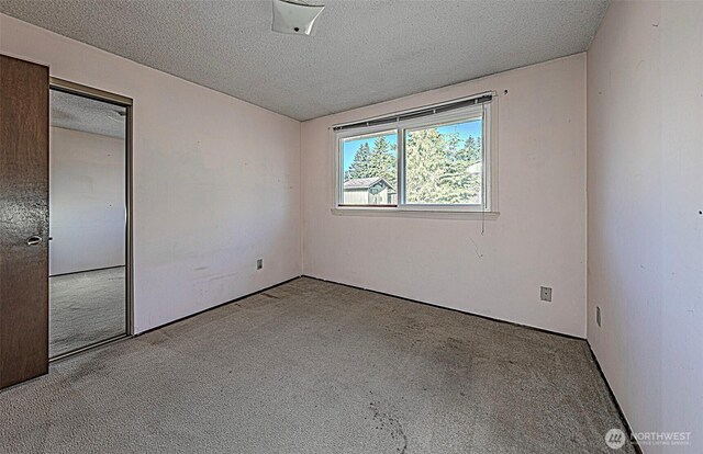 24427 14th Ave S, Des Moines, WA 98198 - empty room featuring carpet flooring and a textured ceiling