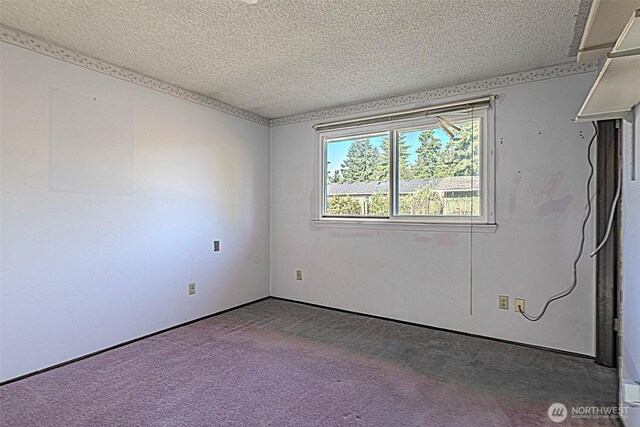 24427 14th Ave S, Des Moines, WA 98198 - carpeted spare room featuring a textured ceiling