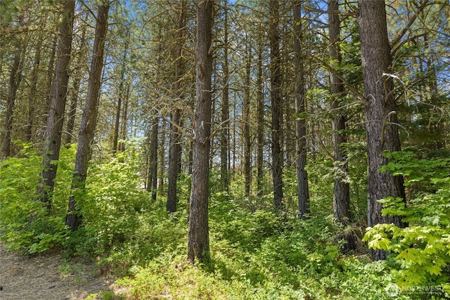 831 Iron Monarch Loop, Cle Elum, WA 98922