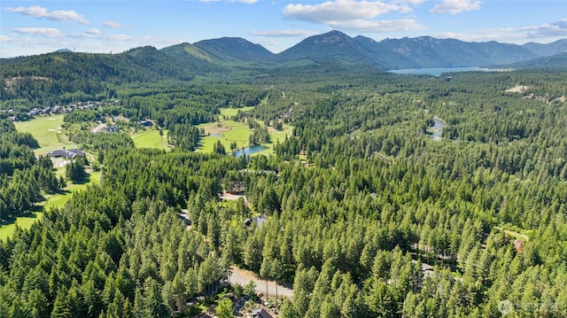 831 Iron Monarch Loop, Cle Elum, WA 98922