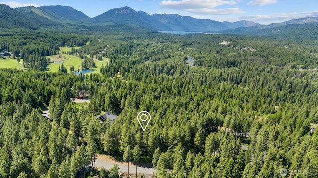 831 Iron Monarch Loop, Cle Elum, WA 98922