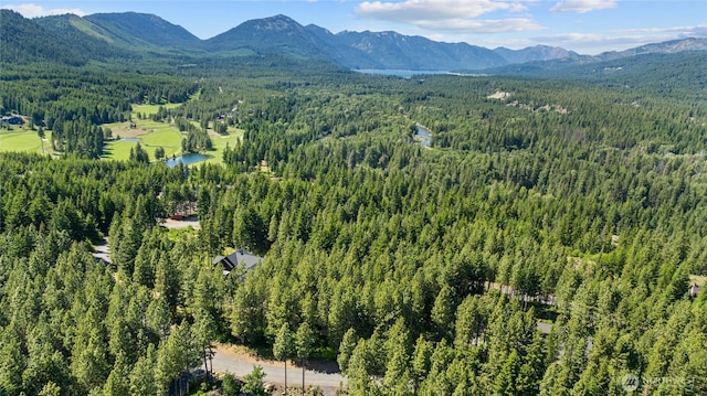 831 Iron Monarch Loop, Cle Elum, WA 98922
