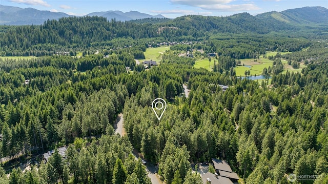 831 Iron Monarch Loop, Cle Elum, WA 98922