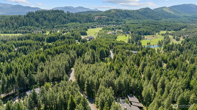 831 Iron Monarch Loop, Cle Elum, WA 98922