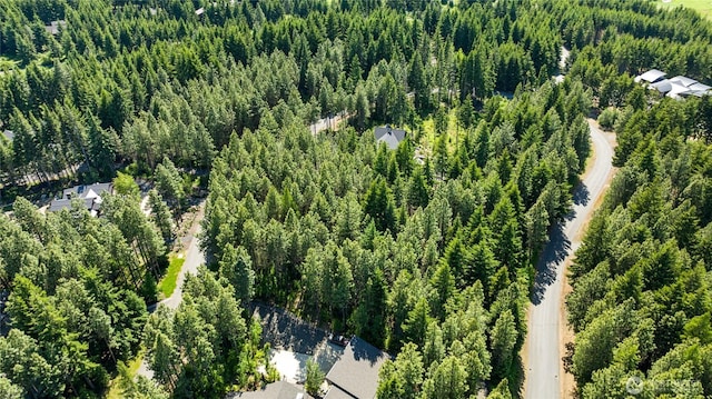 831 Iron Monarch Loop, Cle Elum, WA 98922
