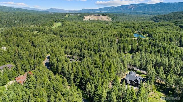 831 Iron Monarch Loop, Cle Elum, WA 98922