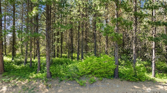 831 Iron Monarch Loop, Cle Elum, WA 98922