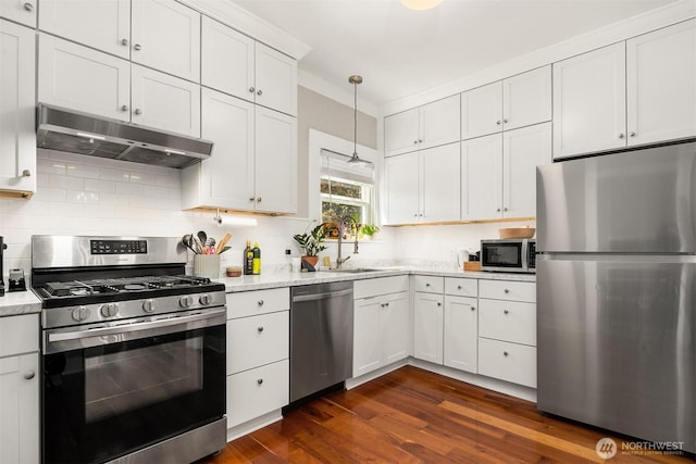2321 Elm St, Bellingham, WA 98225 - kitchen with stainless steel appliances, under cabinet range hood, dark wood-style flooring, and tasteful backsplash