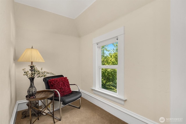 2321 Elm St, Bellingham, WA 98225 - sitting room featuring plenty of natural light, baseboards, and carpet floors
