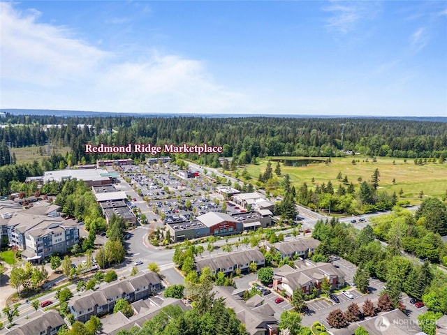10821 Eastridge Dr NE, Redmond, WA 98053 - drone / aerial view of a forest