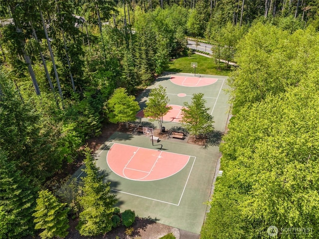10821 Eastridge Dr NE, Redmond, WA 98053 - view of basketball court featuring community basketball court
