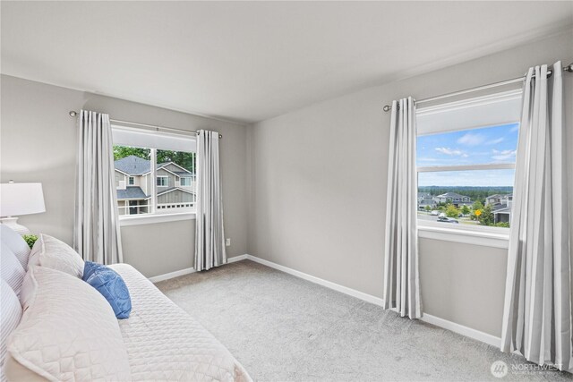 20602 SE 258th Pl, Covington, WA 98042 - photo 31