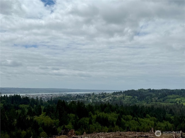 90 E Wishkah Rd, Aberdeen, WA 98520