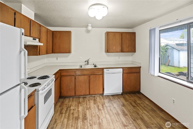 3718 Wetmore Ave, Everett, WA 98201 - kitchen with white appliances, a sink, under cabinet range hood, brown cabinets, and a textured ceiling