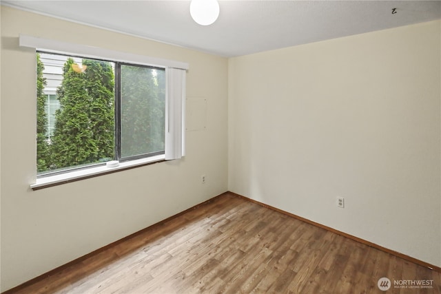 3718 Wetmore Ave, Everett, WA 98201 - empty room with light wood-style floors and baseboards