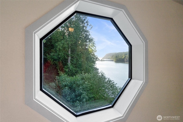 19709 Whiteman Cove Rd SW, Longbranch, WA 98351 - detailed view of nearby water