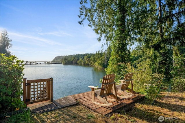 19709 Whiteman Cove Rd SW, Longbranch, WA 98351 - dock area with a water view and a view of trees
