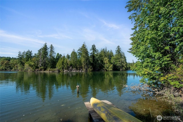 19709 Whiteman Cove Rd SW, Longbranch, WA 98351 - dock with a water view and a wooded view
