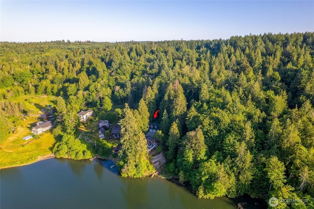 19709 Whiteman Cove Rd SW, Longbranch, WA 98351 - bird's eye view of a forest and a nearby body of water