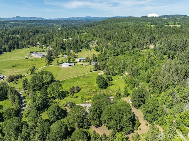 29139 NE Hammond Ct, Battle Ground, WA 98604 - aerial view of property and surrounding area featuring a forest and a mountain backdrop