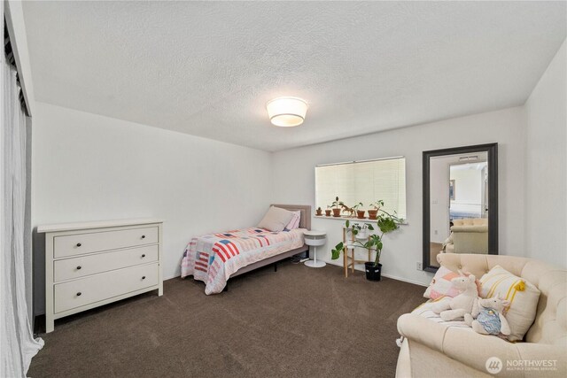 24345 252nd Ave SE, Maple Valley, WA 98038 - photo 24