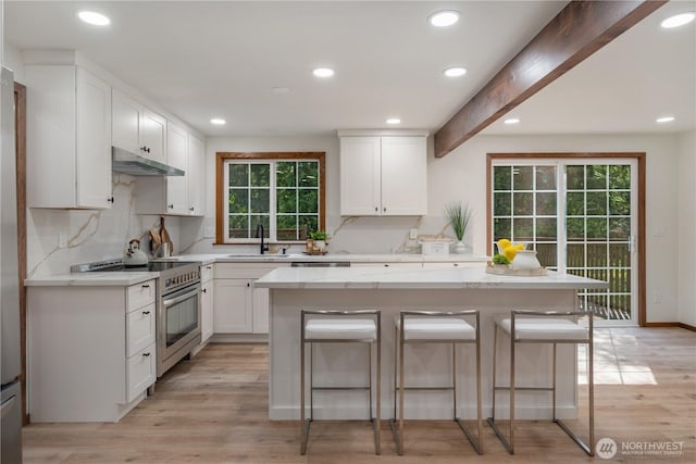 435 Thumper Ln, Camano Island, WA 98282 - kitchen with electric range, a sink, decorative backsplash, under cabinet range hood, and a breakfast bar area