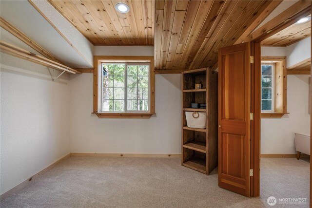435 Thumper Ln, Camano Island, WA 98282 - spacious closet with carpet floors and vaulted ceiling