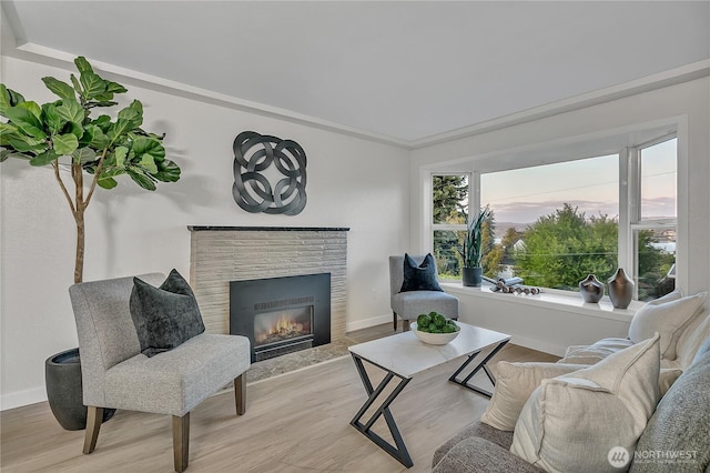 10209 65th Ave S, Seattle, WA 98178 - living room with a tiled fireplace, wood finished floors, and baseboards