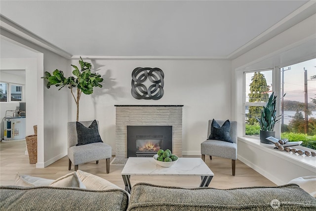 10209 65th Ave S, Seattle, WA 98178 - living room with a tile fireplace, light wood-style floors, crown molding, and baseboards
