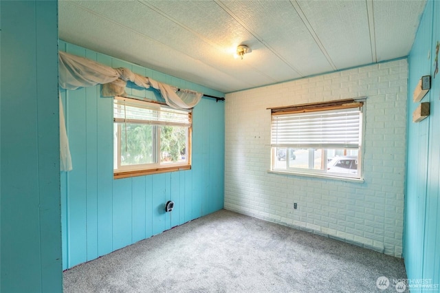 7503 189th Street Ct E Unit 12, Puyallup, WA 98375 - carpeted empty room with plenty of natural light, brick wall, wood walls, and a textured ceiling