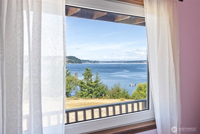 10601 87th Ct, Anderson Island, WA 98303 - water view