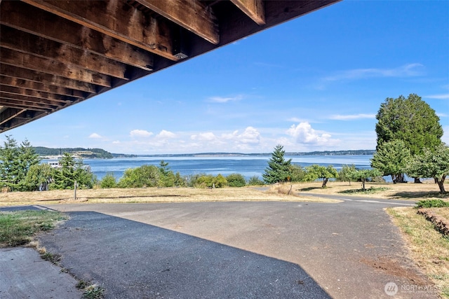 10601 87th Ct, Anderson Island, WA 98303 - water view