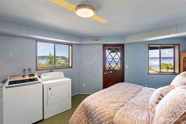 10601 87th Ct, Anderson Island, WA 98303 - bedroom with washer and clothes dryer
