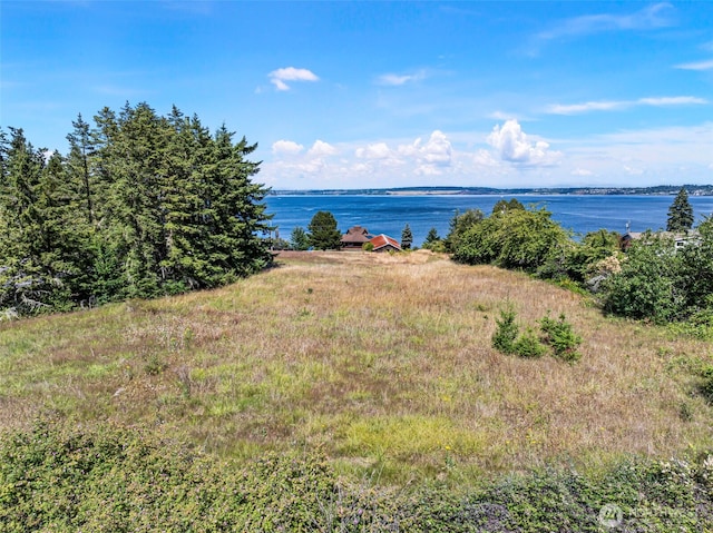 10601 87th Ct, Anderson Island, WA 98303 - water view