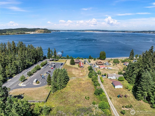 10601 87th Ct, Anderson Island, WA 98303 - drone / aerial view of a large body of water