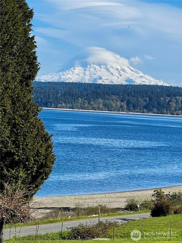 10601 87th Ct, Anderson Island, WA 98303 - water view with a forest