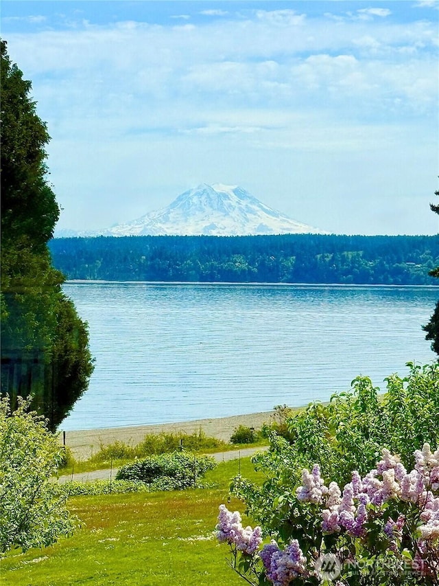 10601 87th Ct, Anderson Island, WA 98303 - water view with mountains