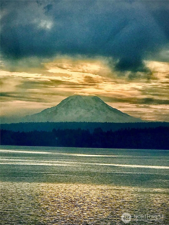 10601 87th Ct, Anderson Island, WA 98303 - view of mountain background